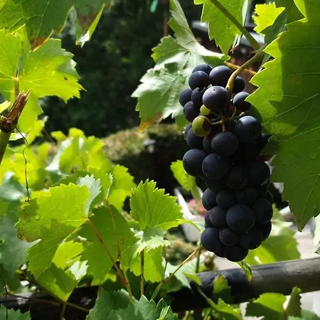 & Winay Wayna Gotschna Blick بيت للعطل