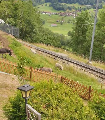 & Winay Wayna Gotschna Blick Hébergement de vacances