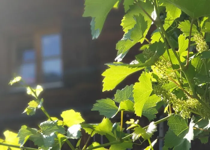 & Winay Wayna Gotschna Blick Tatil Evi *